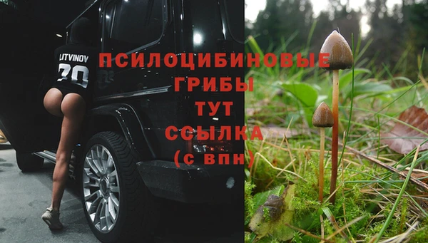 спайс Нижний Тагил