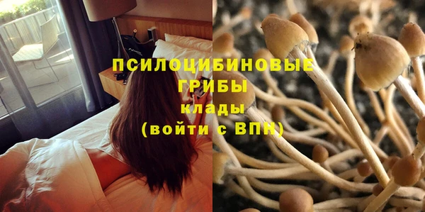 каннабис Алексин