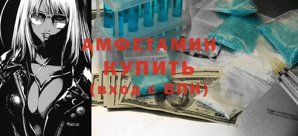 прущие грибы Чита